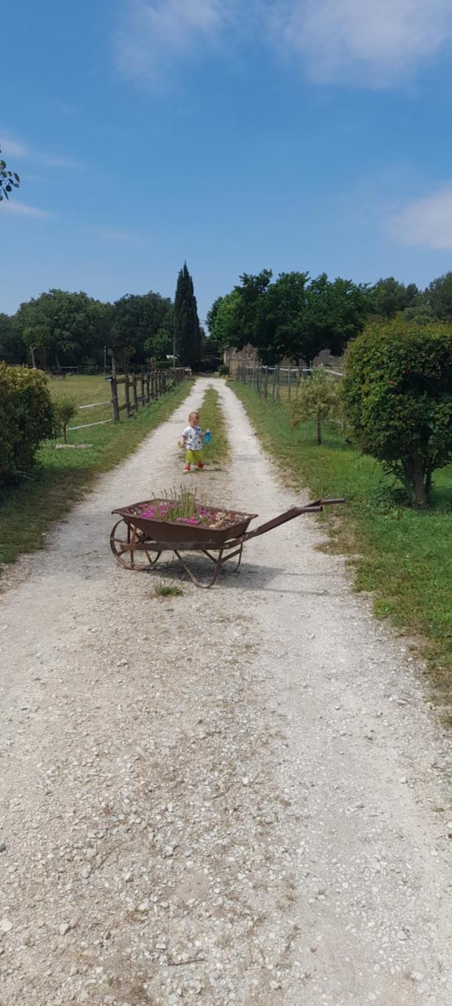Lagnes Chambre D'Hotes Manon - Domaine Les Peupliers - الغرفة الصورة